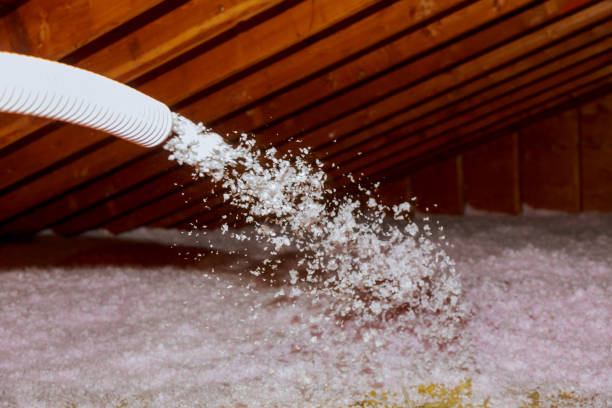 Types of Insulation We Offer in North Redington Beach, FL