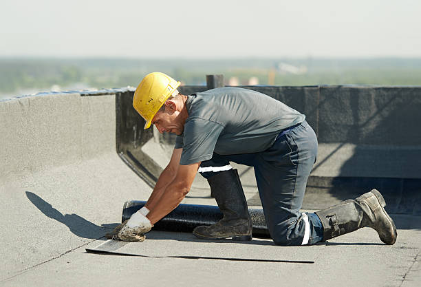 Best Cellulose Insulation in North Redington Beach, FL