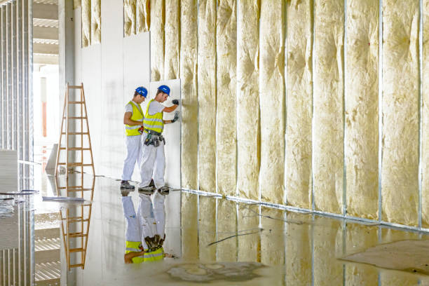 Best Specialized Insulation Services in North Redington Beach, FL